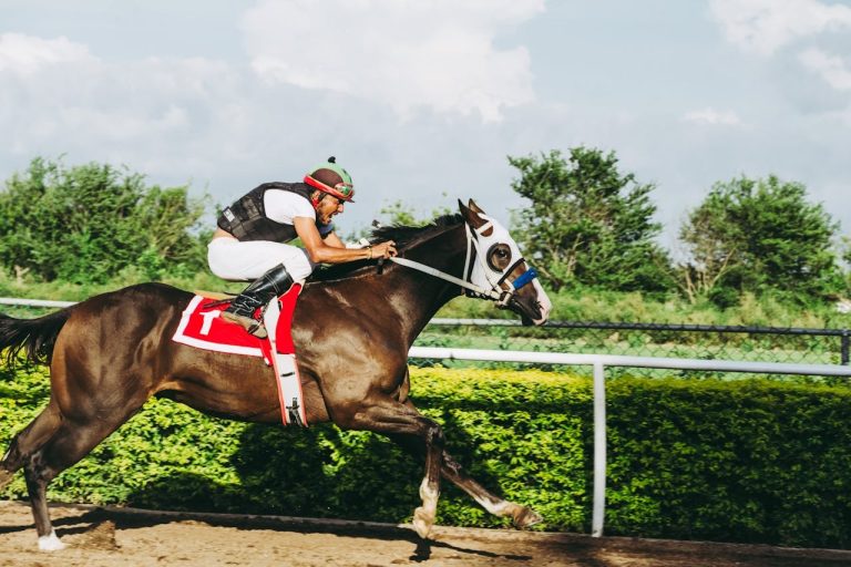 ¿Qué es mejor para ti: apuestas deportivas o juegos de casino?